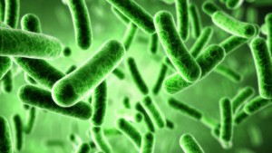 Probiotics While On Antibiotics