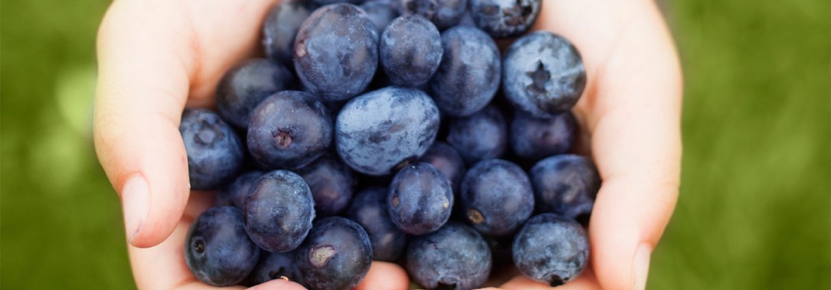 Benefits of Blueberries