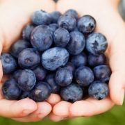 Benefits of Blueberries