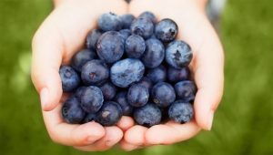 Benefits of Blueberries