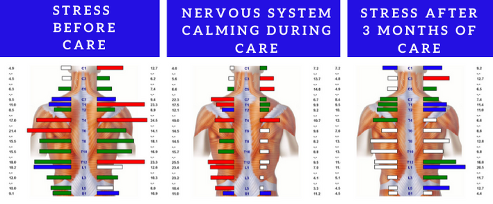 Nervous System Care