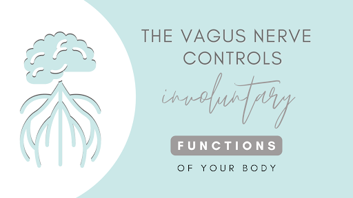 vagus nerve stimulation